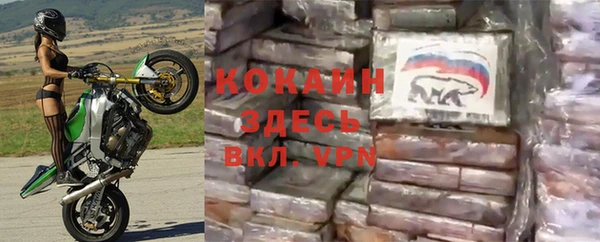 ПСИЛОЦИБИНОВЫЕ ГРИБЫ Зеленокумск
