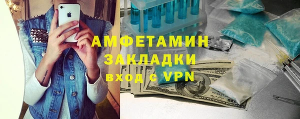 ПСИЛОЦИБИНОВЫЕ ГРИБЫ Инсар